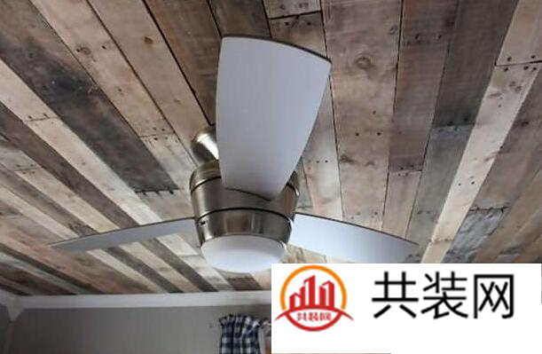 这是垃圾还是宝贝，你说了算！