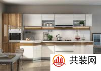 橱柜十大品牌排行榜 橱柜哪个品牌好