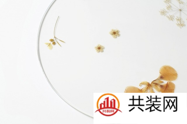  长青盘 －－ 盛放“刹那“的永生