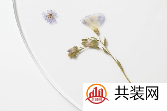  长青盘 －－ 盛放“刹那“的永生