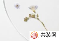  长青盘 －－ 盛放“刹那“的永生