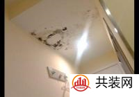 天花板发霉处理办法有哪些 天花板发霉处理技巧