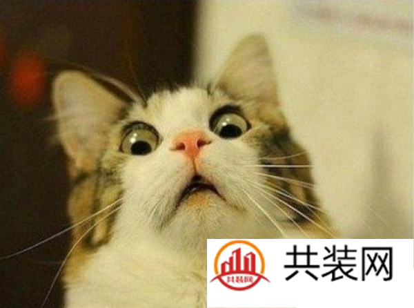 收纳狂的家是怎样一种境界？
