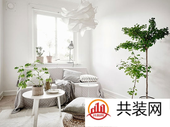 感谢!关于厨房,我向思聪学了一招!