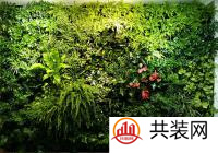 办公室装修植物墙用什么植物？办公室净化空气放什么植物？