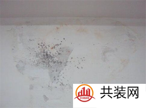 墙上发霉怎么处理 墙壁发霉会带来什么样的危害