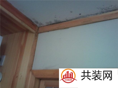 墙上发霉怎么处理 墙壁发霉会带来什么样的危害