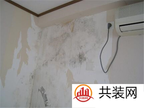 墙上发霉怎么处理 墙壁发霉会带来什么样的危害